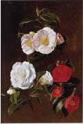 unknow artist Floral, beautiful classical still life of flowers 028 USA oil painting artist